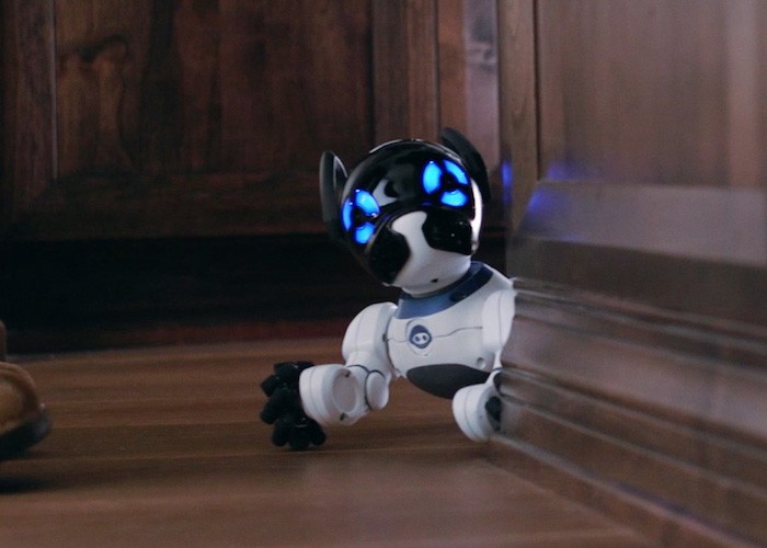 CHiPK9 - Chú chó Robot đáng yêu đầu tiên trên thế giới